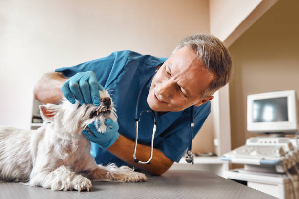 Best Same-Day Emergency Dental Services in Fairview, OK