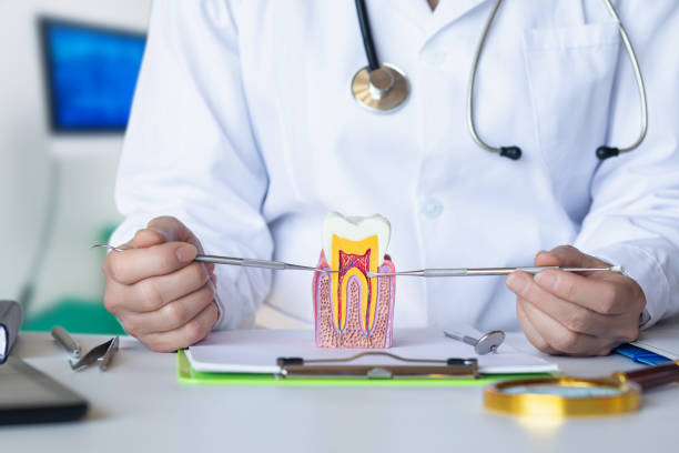 Best Cosmetic Emergency Dentistry in Fairview, OK